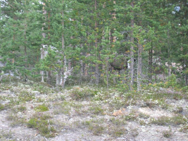 Sweden 2006-07 039